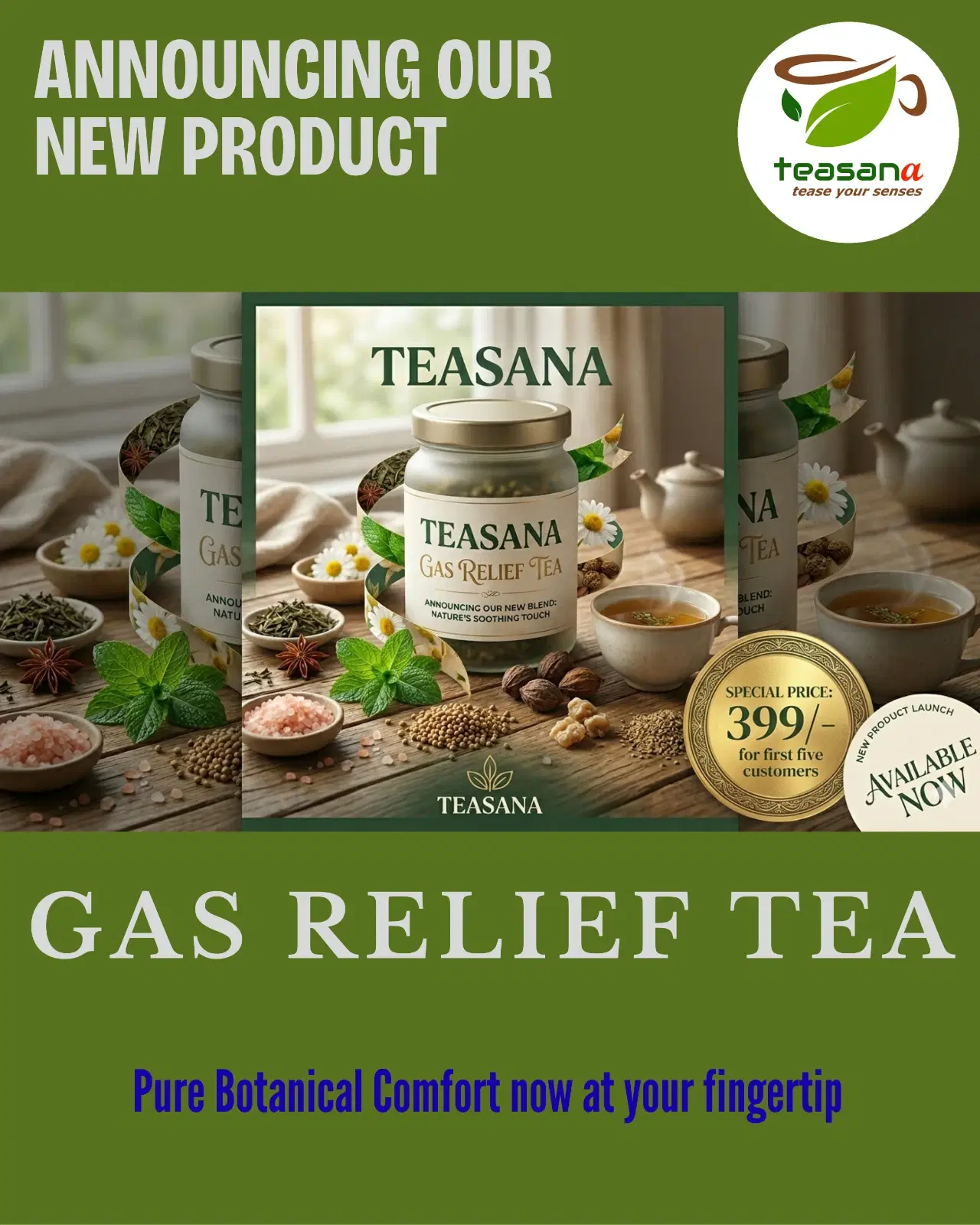 Teasana Gas Relief Tea Herbal Blend