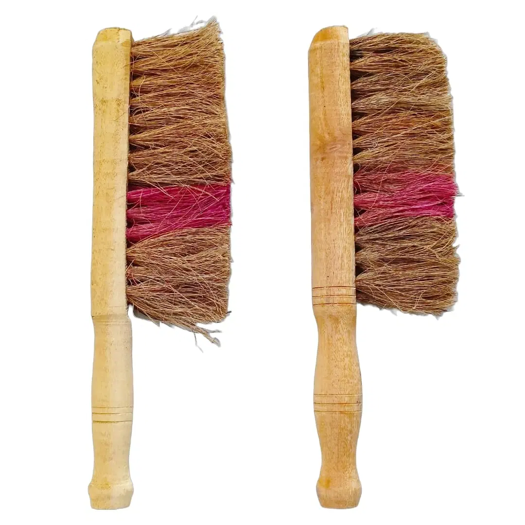 iINTELLIGENCEi Coir Brush, 2 Qty