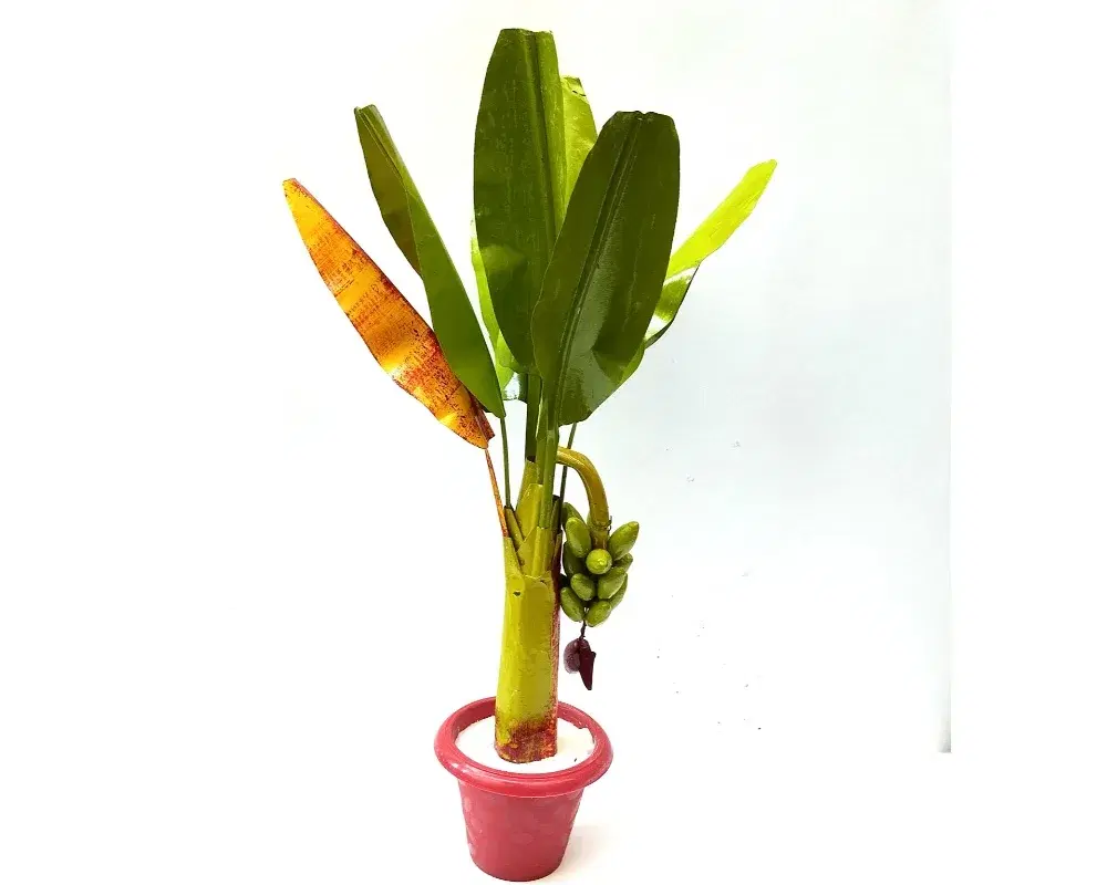 artificial banana tree 1.6 ft, 1 pooja decor