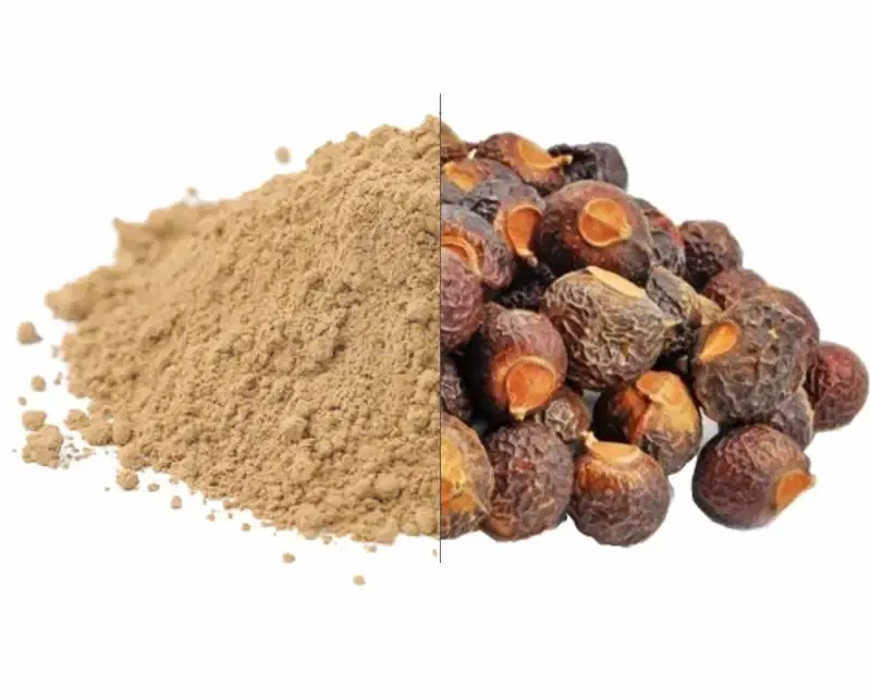 Divine Ethnics Areetha Hair Mask Powder