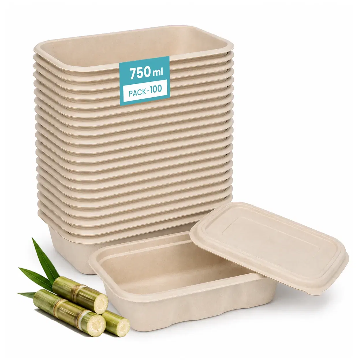 Pliwa | Disposable Rectangular Container with Lid | 750 ml - Pack of 25 | for Takeaway & Food Storage | Sturdy, Microwave Safe, Leak-Resistant | Sugarcane Bagasse Eco-Friendly Square Container (B.White)